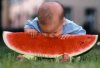 baby-watermelon.jpg