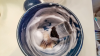 20190122_152630.png