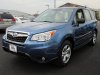 forester.jpg