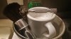 20190211_062346.jpg