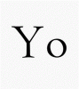yo391.GIF