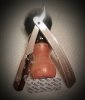 SOTD_021419.jpg