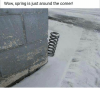 wow-spring-is-just-around-the-corner.png