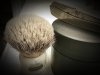 SOTD_030319.jpg