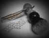 SOTD_031019.jpg