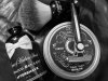 SOTD 3-12-19.jpg