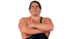 iu.png