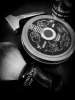 SOTD 3-14-19.jpg