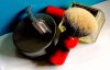 IMG_20190316_125550.jpg