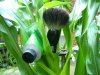 100_2969.jpg