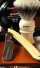 SOTD 8511.jpg