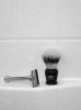 sotd8202011.JPG