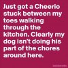 most-funny-quotes-funny-quote-of-the-day.jpg
