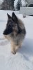 20190323_094757.jpg