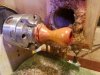 Handle 3.jpg