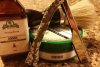 20190406_003124-1.jpeg