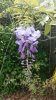20190407_113754.jpg