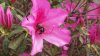 20190407_115223.jpg