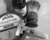 SOTD 4-16-19.jpg
