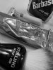 SOTD 4-22-19.jpg