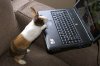 Computer-Geek.jpg