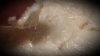 20190507_064234.jpg
