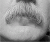 Stache 092017 Walrus.gif