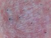 DFS.bbs  just after a shave! (2).jpg