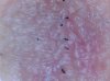 DFS whiskers looks like 1.5 hrs later..jpg