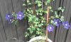 20190608_170113.jpg