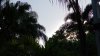 rps20180627_074249.jpg