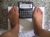 sketchy scale.jpg