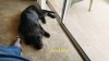 20190701_175402_800x450_800x450.jpg