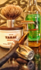 SOTD 07192019.png