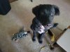 20190719_094017_resize_34.jpg