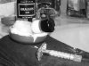 SOTD.JPG