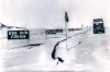 Burma Cream Signs Antartica.jpg
