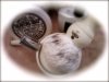 MWF|KENT|MUSGO.jpg