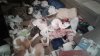 20190719_082334.jpg