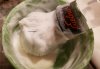 Williams lather.jpg