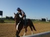 20190808_093446.jpg