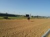 20190808_094107.jpg