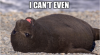 32FFCF12-D73F-45D7-B5BF-D1AC0598D4D0.png