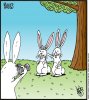 rabbits.jpg