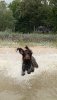 upload_2019-9-8_20-32-34.jpeg