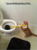 Catplunget.png