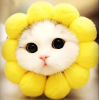 Cat flower.png