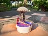 SOTD Sept 15 2019_sm.jpg