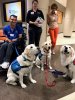 Obie, Yari, & Juno.jpg