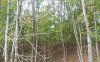 20190929_110909.jpg